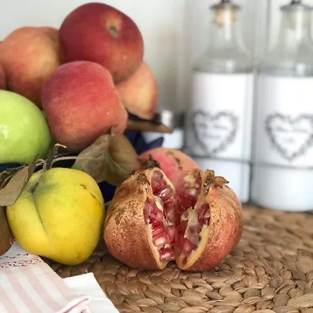 House Vego Čapljina